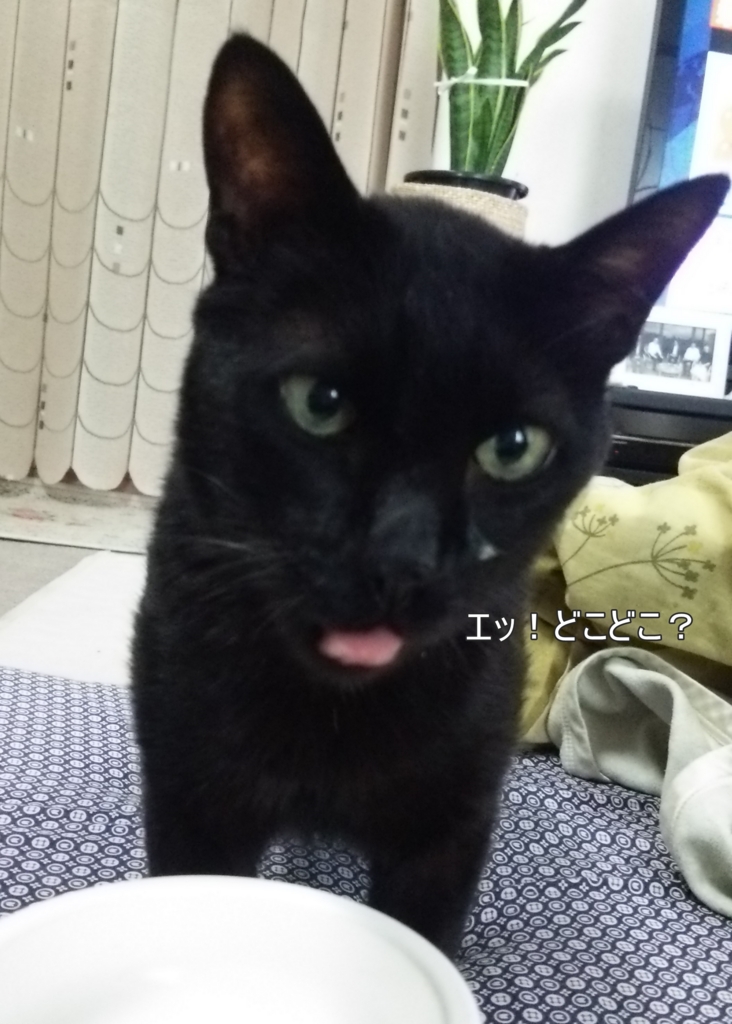 f:id:tarojiroko:20170201135823j:plain