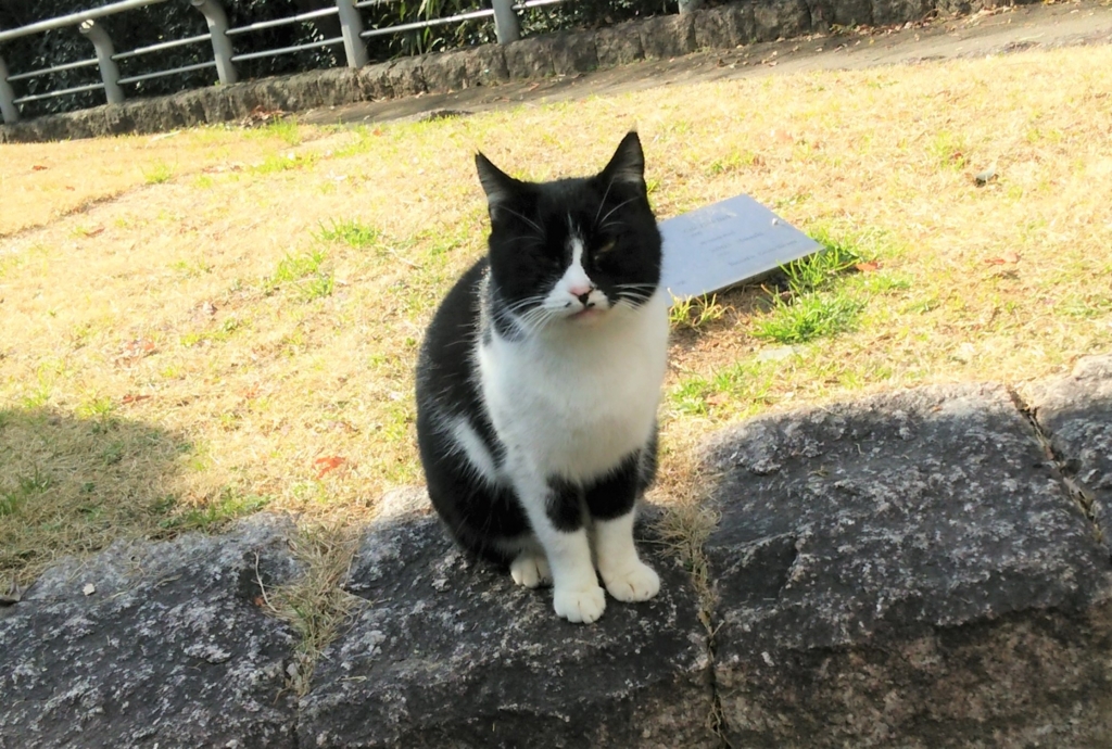 f:id:tarojiroko:20170201143615j:plain