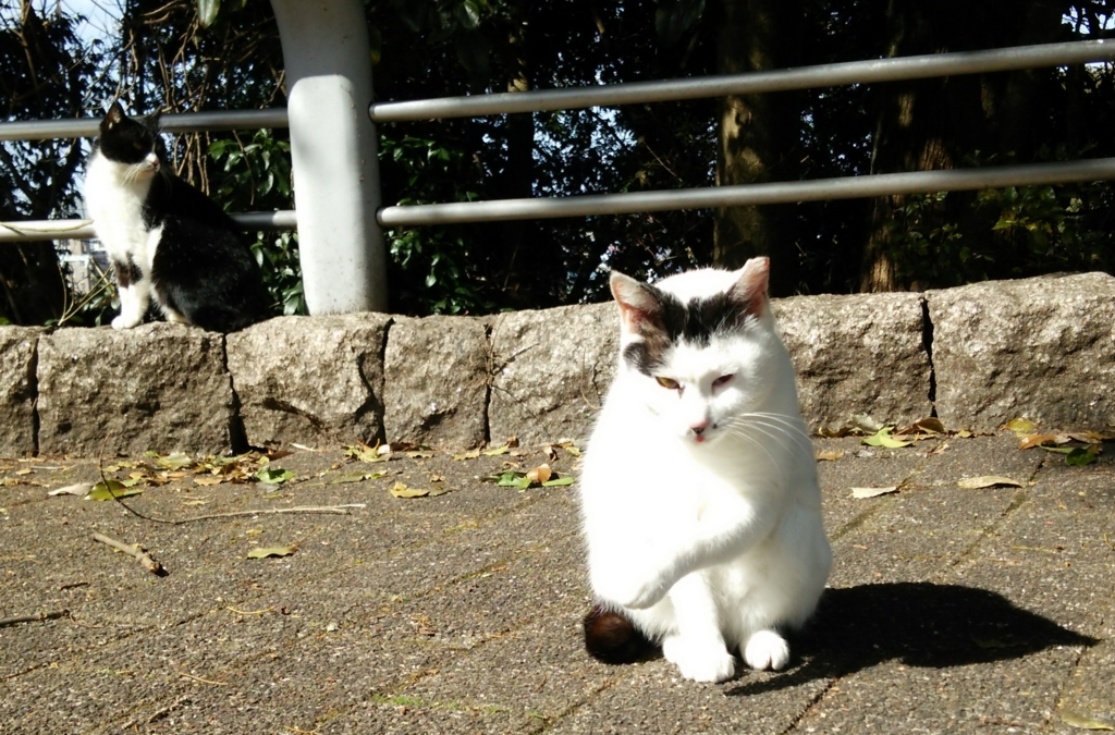 f:id:tarojiroko:20170221112459j:plain f:id:tarojiroko:20170221112459j:plain