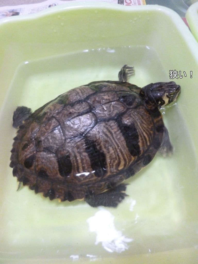 f:id:tarojiroko:20170222064803j:plain f:id:tarojiroko:20170222064803j:plain