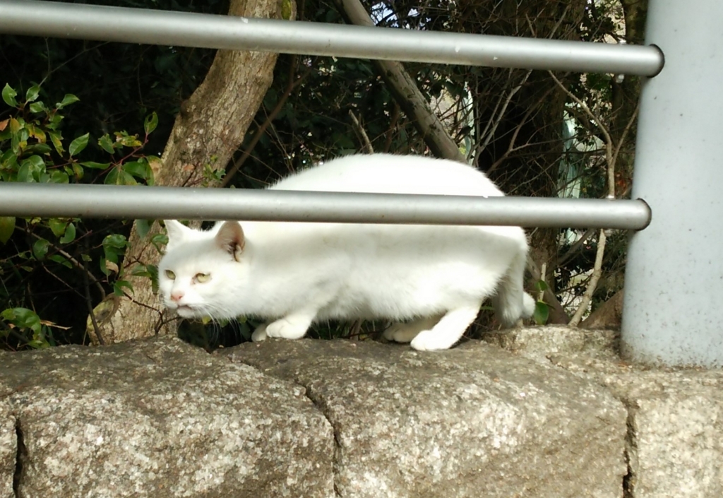 f:id:tarojiroko:20170224101234j:plain