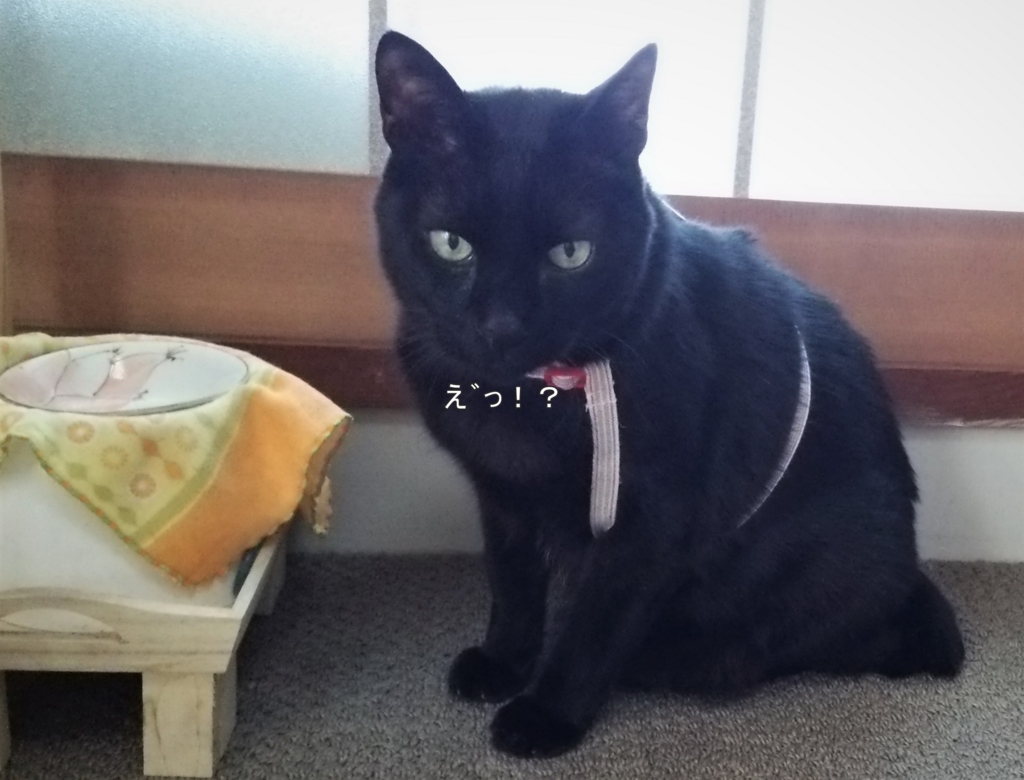 f:id:tarojiroko:20170403105842j:plain