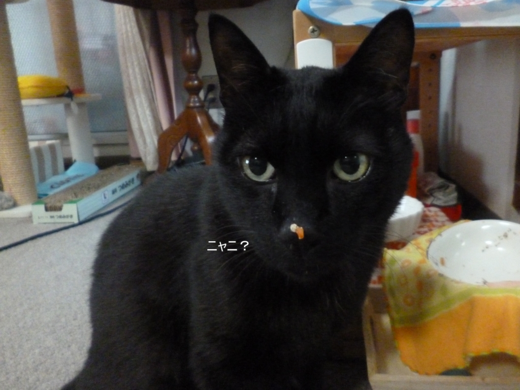 f:id:tarojiroko:20170411063435j:plain