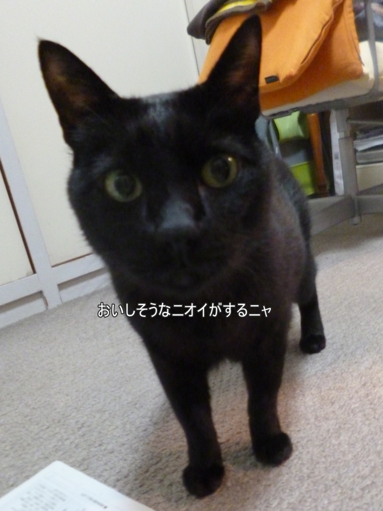 f:id:tarojiroko:20170413053118j:plain