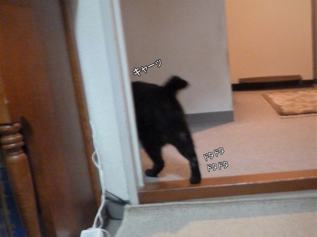 f:id:tarojiroko:20170413053302j:plain