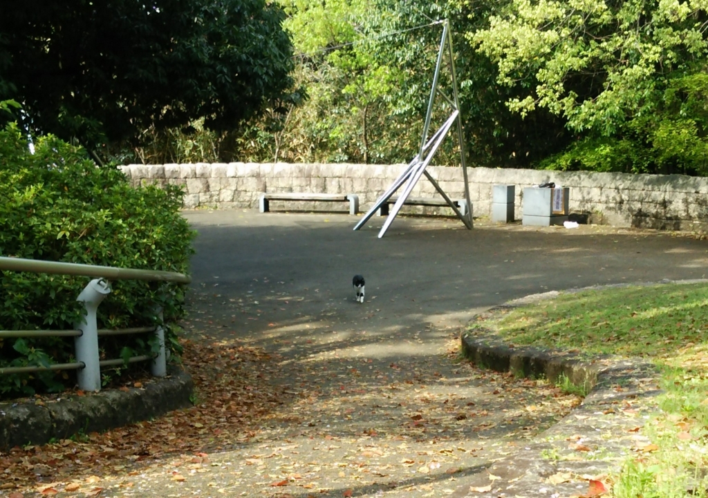 f:id:tarojiroko:20170416091859j:plain f:id:tarojiroko:20170416091859j:plain