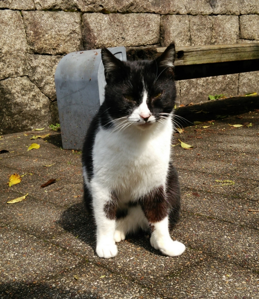 f:id:tarojiroko:20170416093750j:plain f:id:tarojiroko:20170416093750j:plain