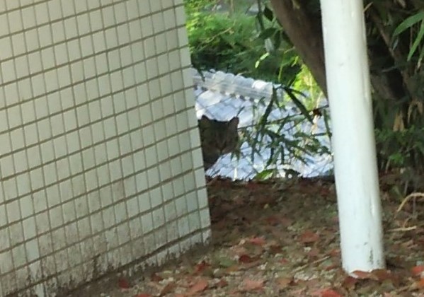 f:id:tarojiroko:20170418163055j:plain f:id:tarojiroko:20170418163055j:plain