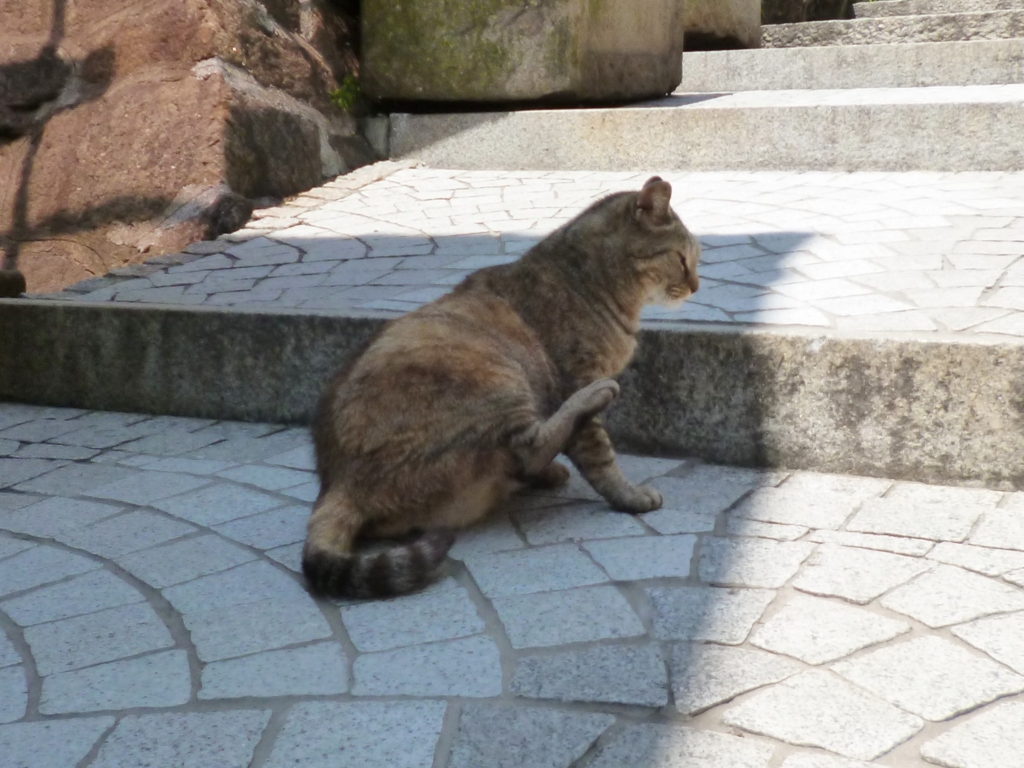 f:id:tarojiroko:20170428120458j:plain f:id:tarojiroko:20170428120458j:plain