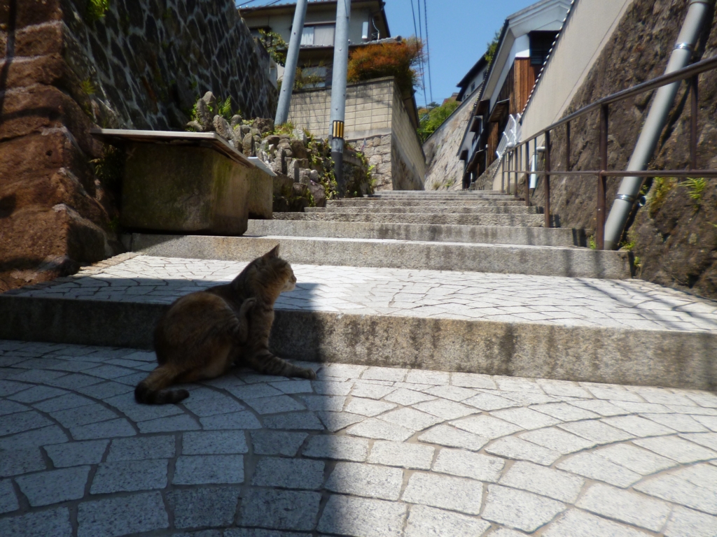 f:id:tarojiroko:20170428120503j:plain f:id:tarojiroko:20170428120503j:plain