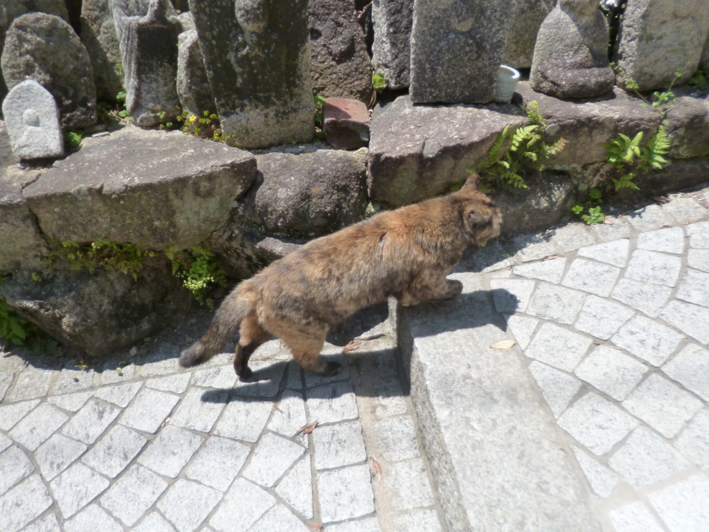 f:id:tarojiroko:20170428120545j:plain f:id:tarojiroko:20170428120545j:plain