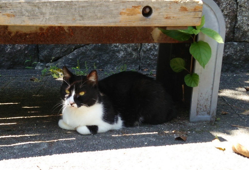 f:id:tarojiroko:20170518122510j:plain f:id:tarojiroko:20170518122510j:plain