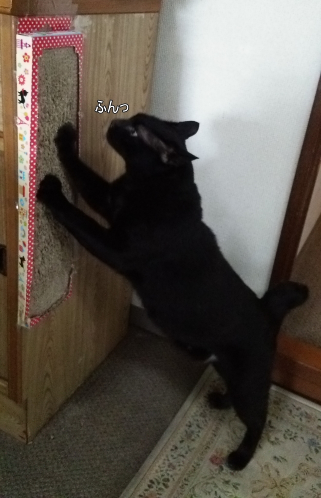 f:id:tarojiroko:20170524123637j:plain