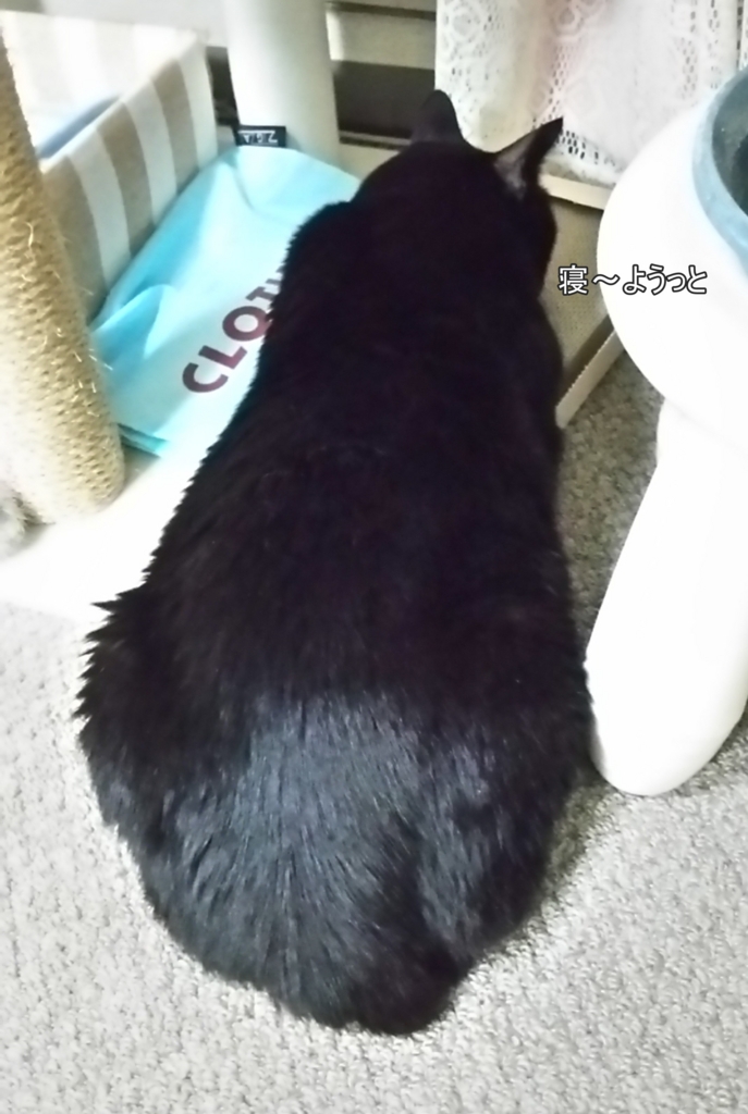 f:id:tarojiroko:20170525201334j:plain