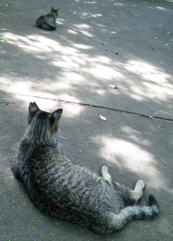 f:id:tarojiroko:20170623120935j:plain