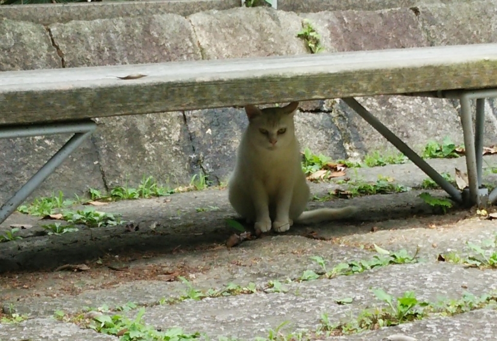 f:id:tarojiroko:20170702091339j:plain