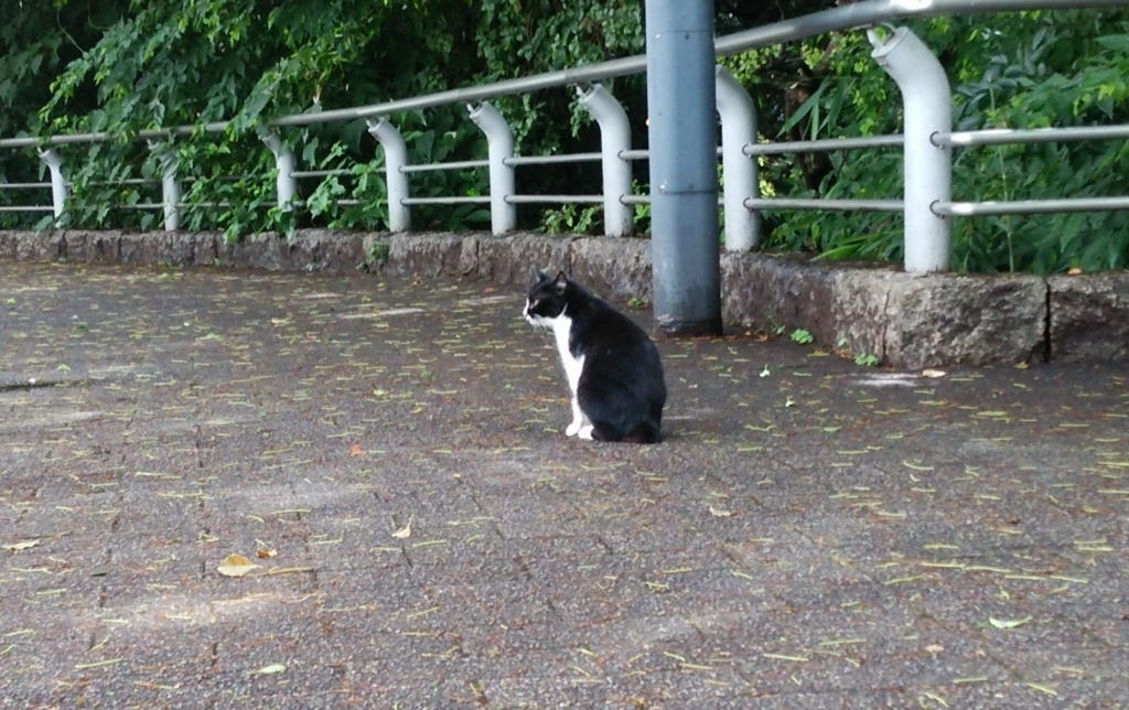 f:id:tarojiroko:20170704151127j:plain