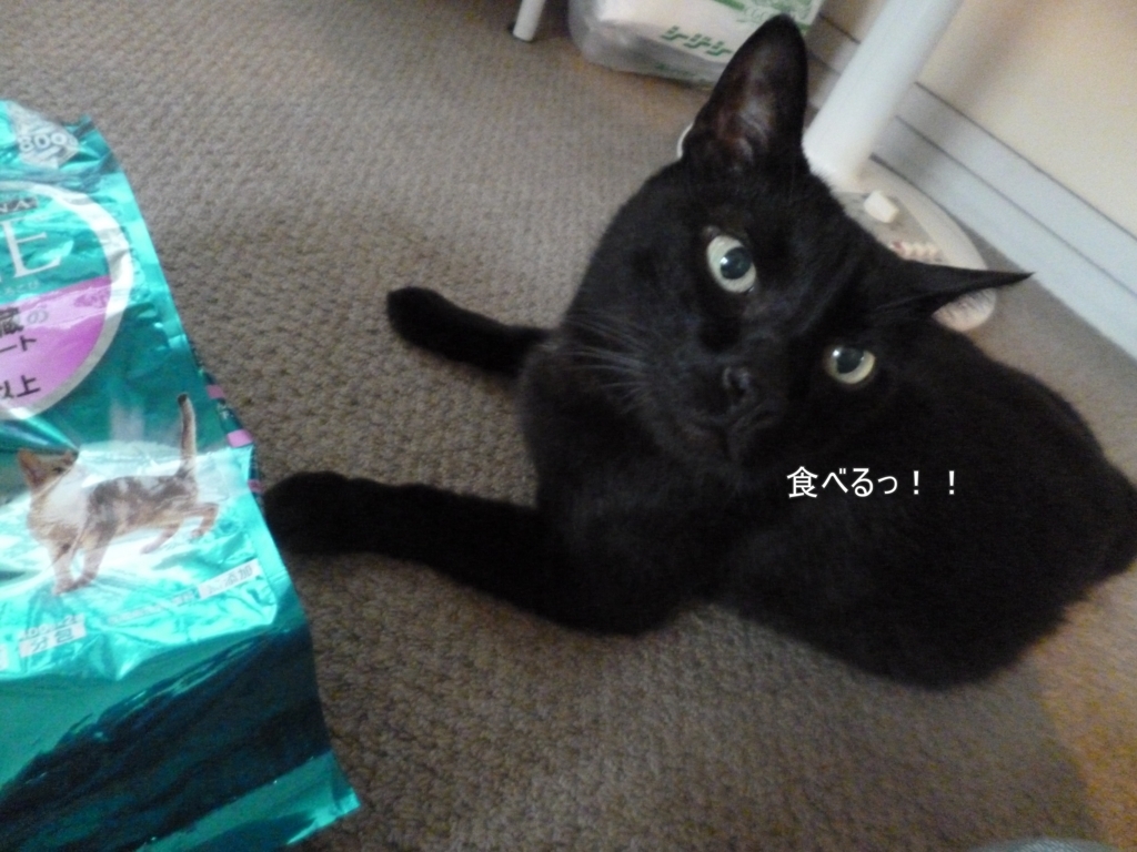 f:id:tarojiroko:20170705164459j:plain