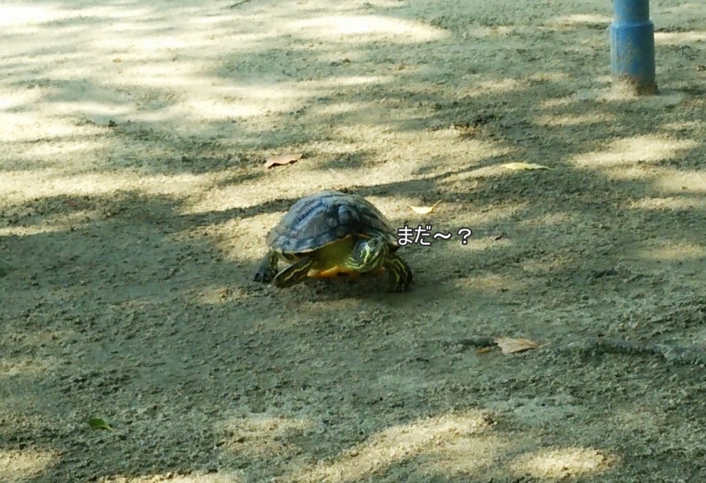 f:id:tarojiroko:20170719151101j:plain f:id:tarojiroko:20170719151101j:plain