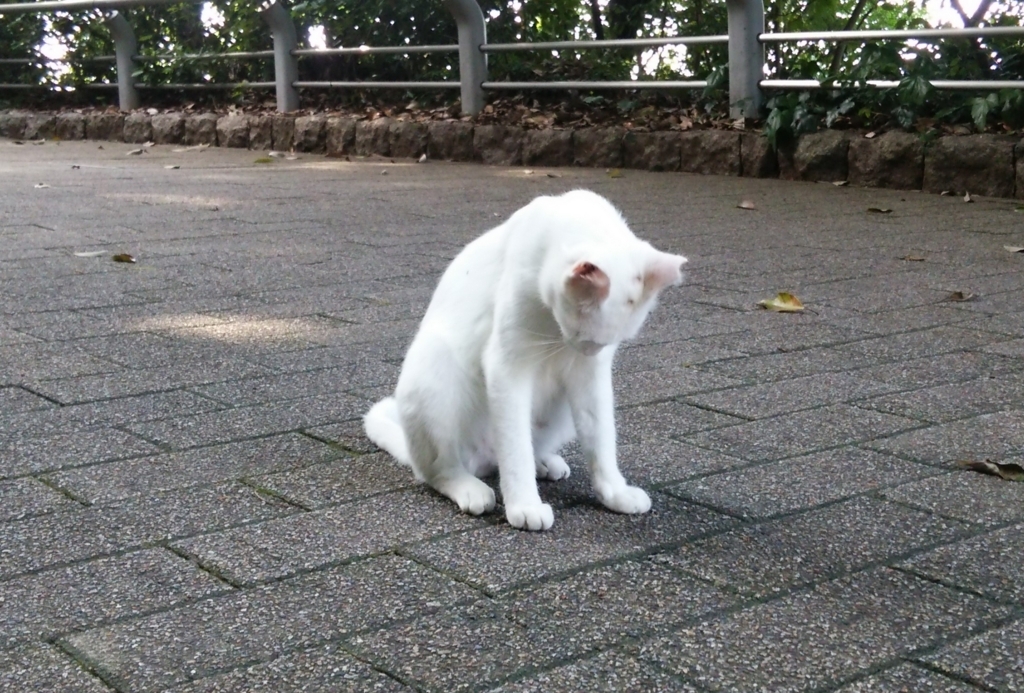 f:id:tarojiroko:20170720162144j:plain