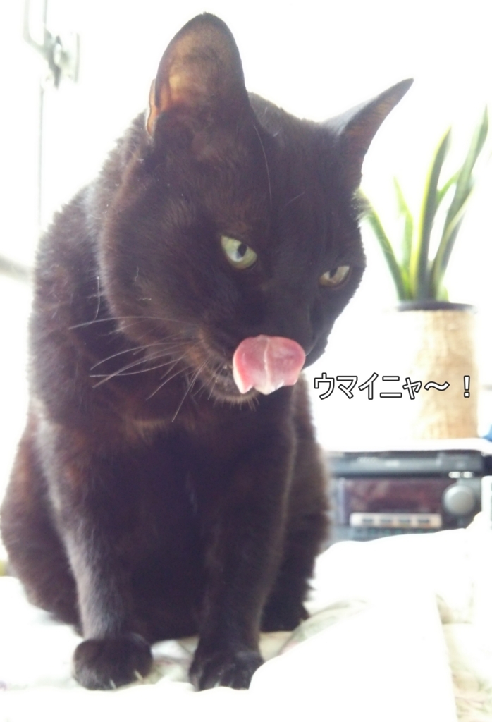 f:id:tarojiroko:20170730132249j:plain