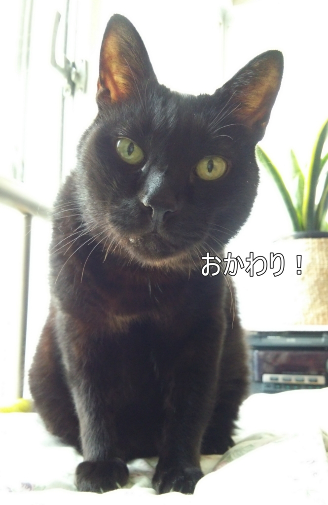 f:id:tarojiroko:20170730132257j:plain