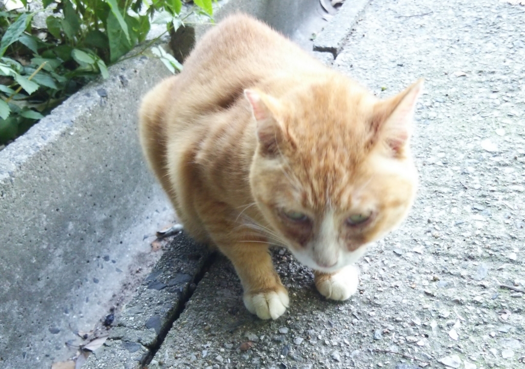 f:id:tarojiroko:20170806111119j:plain