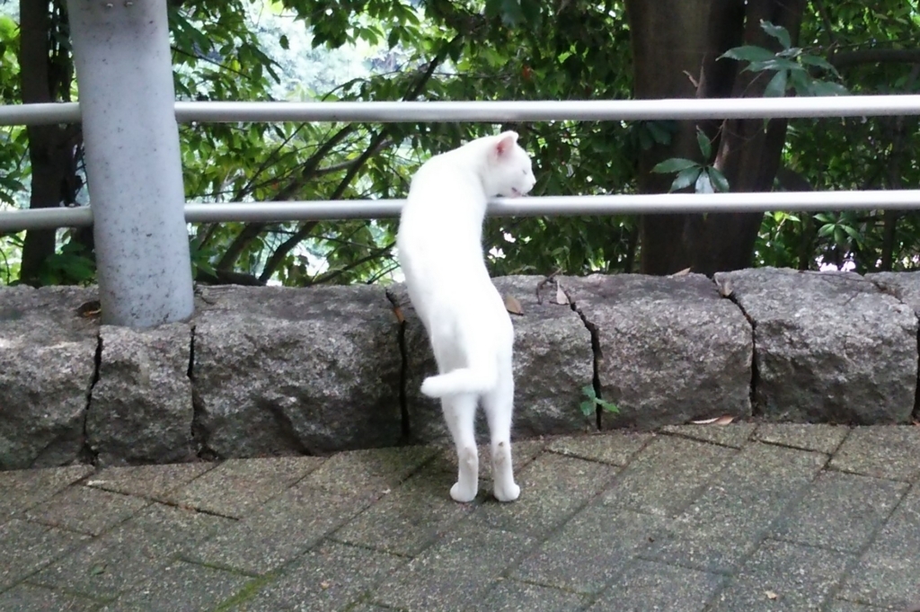 f:id:tarojiroko:20170811140029j:plain
