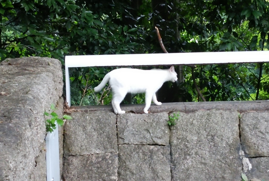 f:id:tarojiroko:20170811141542j:plain