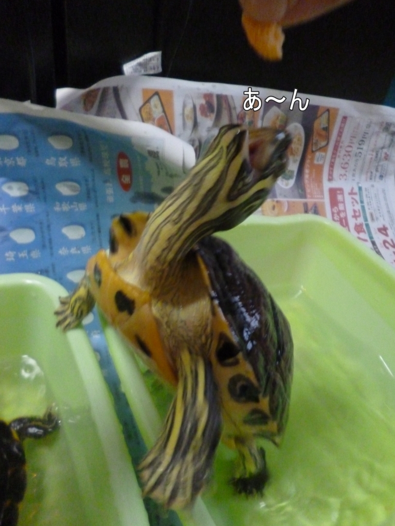 f:id:tarojiroko:20170813054552j:plain f:id:tarojiroko:20170813054552j:plain