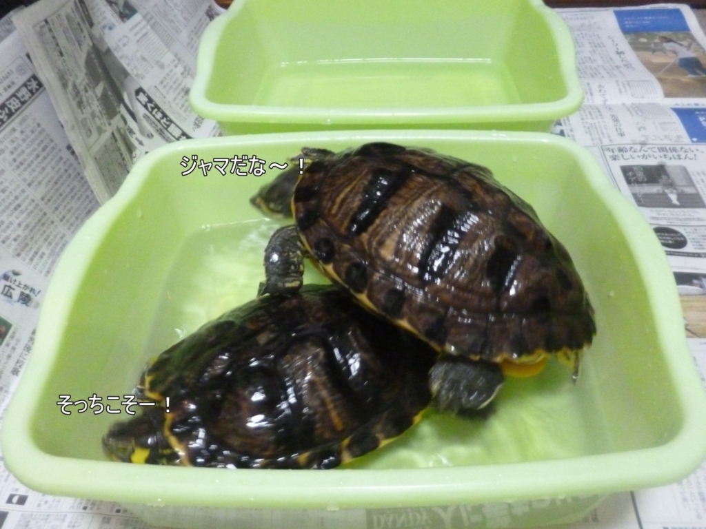 f:id:tarojiroko:20170815052822j:plain f:id:tarojiroko:20170815052822j:plain