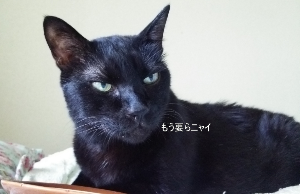 f:id:tarojiroko:20170819134628j:plain