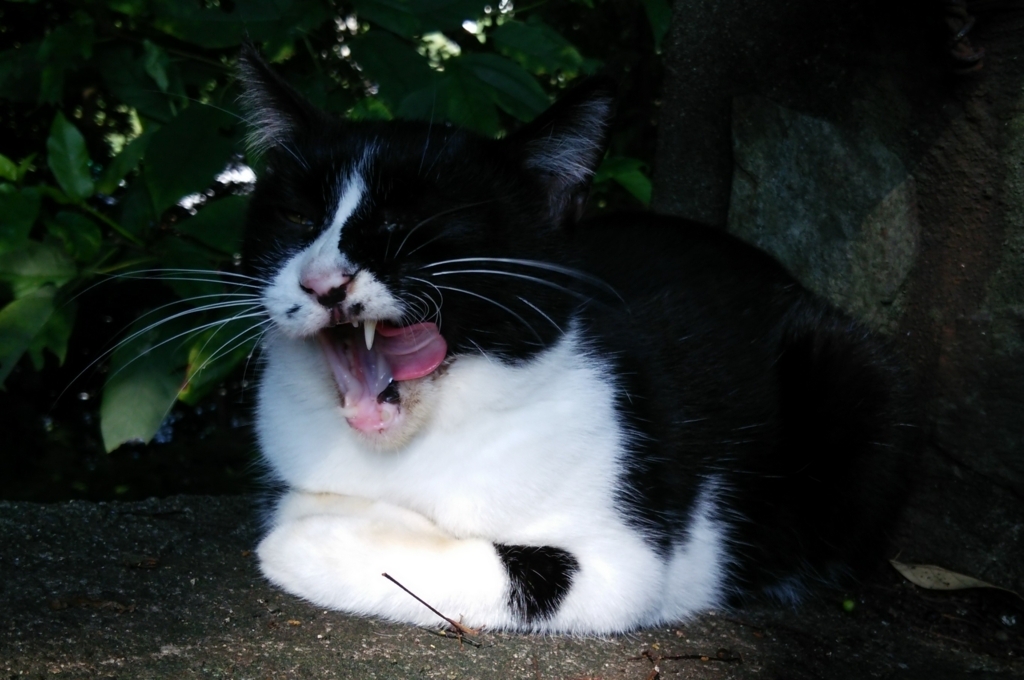 f:id:tarojiroko:20170820092218j:plain