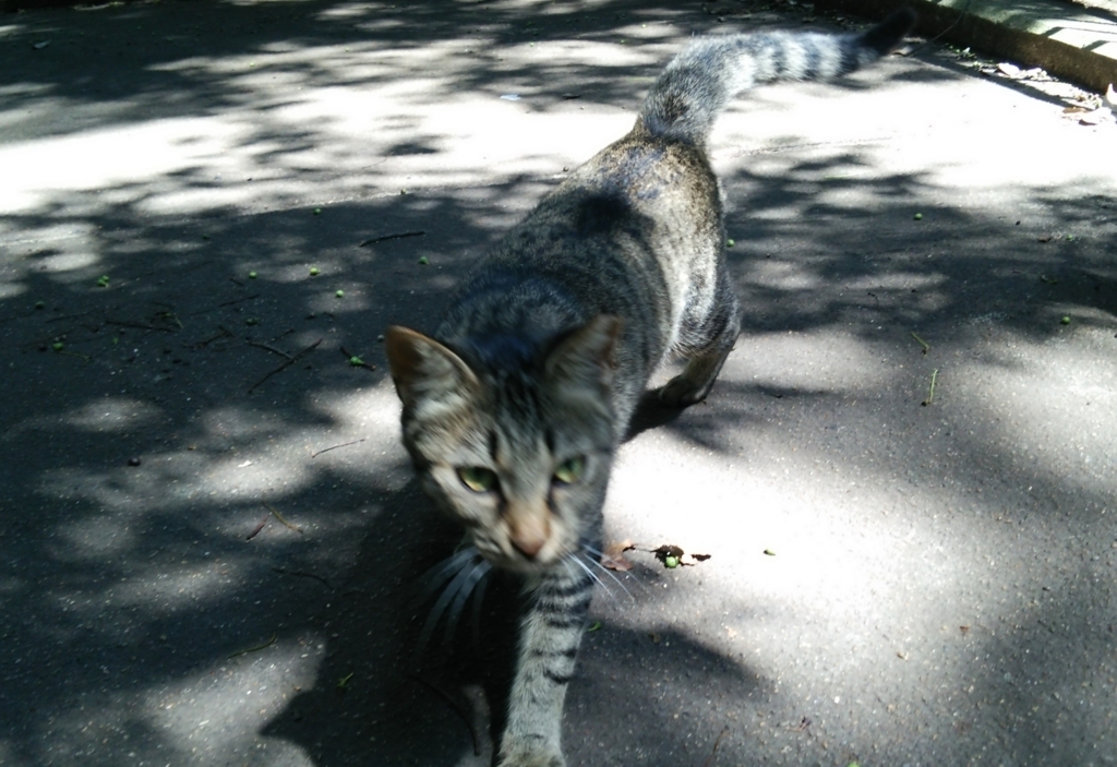 f:id:tarojiroko:20170821114251j:plain