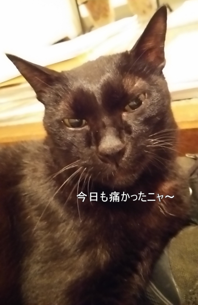 f:id:tarojiroko:20170824193732j:plain