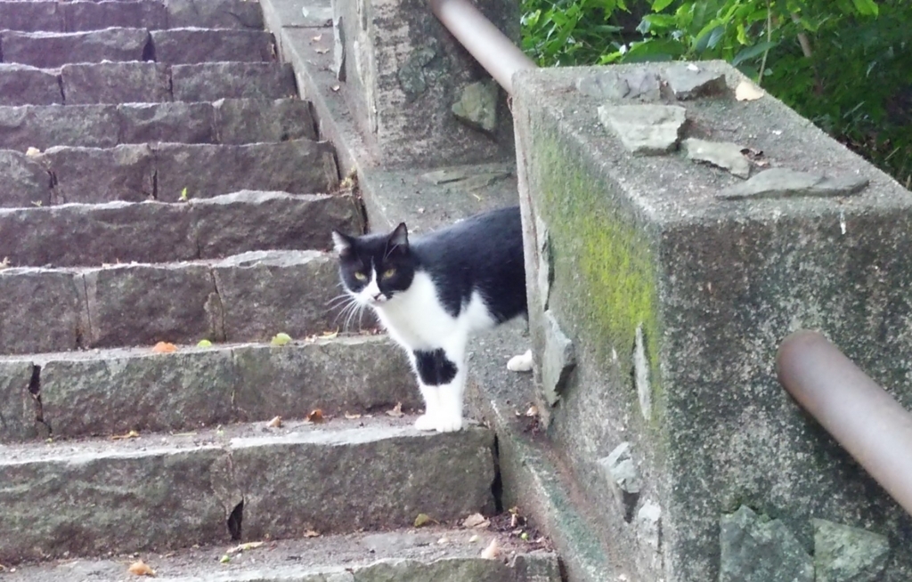 f:id:tarojiroko:20170826154621j:plain