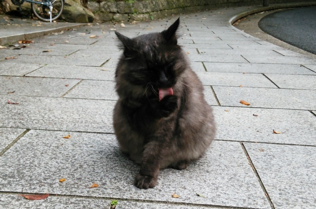 f:id:tarojiroko:20170826162151j:plain