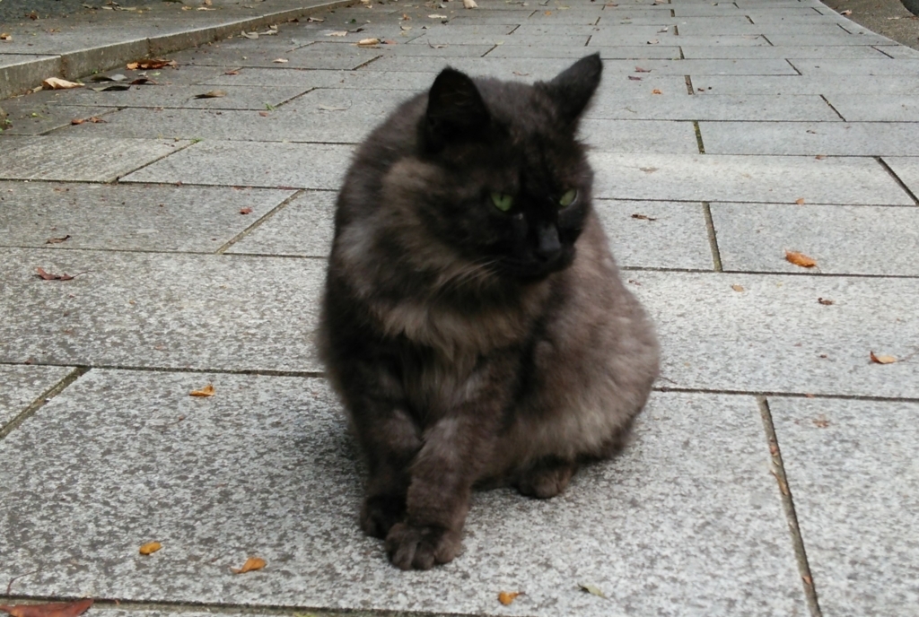 f:id:tarojiroko:20170826162252j:plain