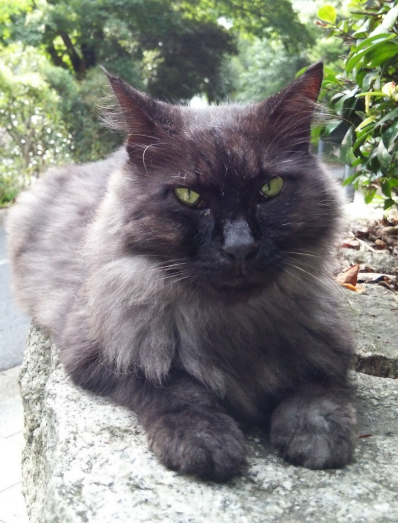 f:id:tarojiroko:20170826162623j:plain