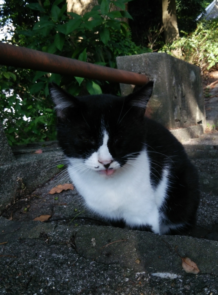 f:id:tarojiroko:20170827091731j:plain