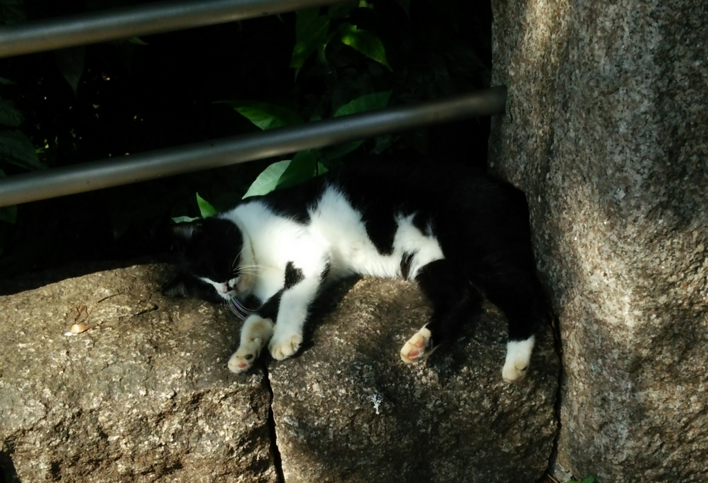 f:id:tarojiroko:20170827092444j:plain