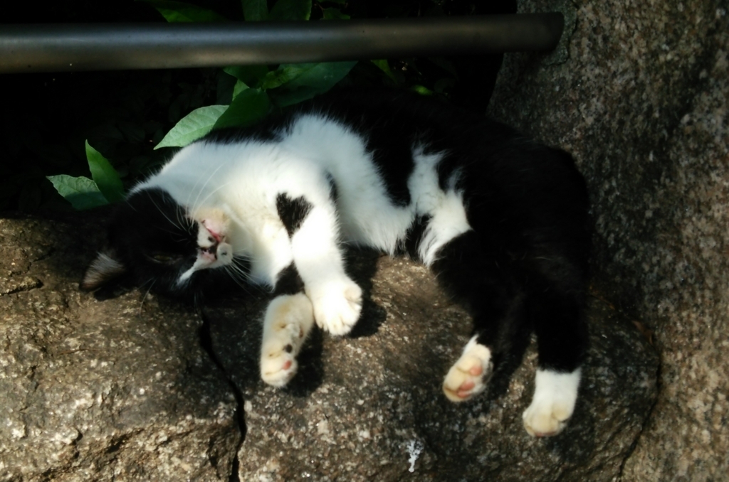 f:id:tarojiroko:20170827092450j:plain