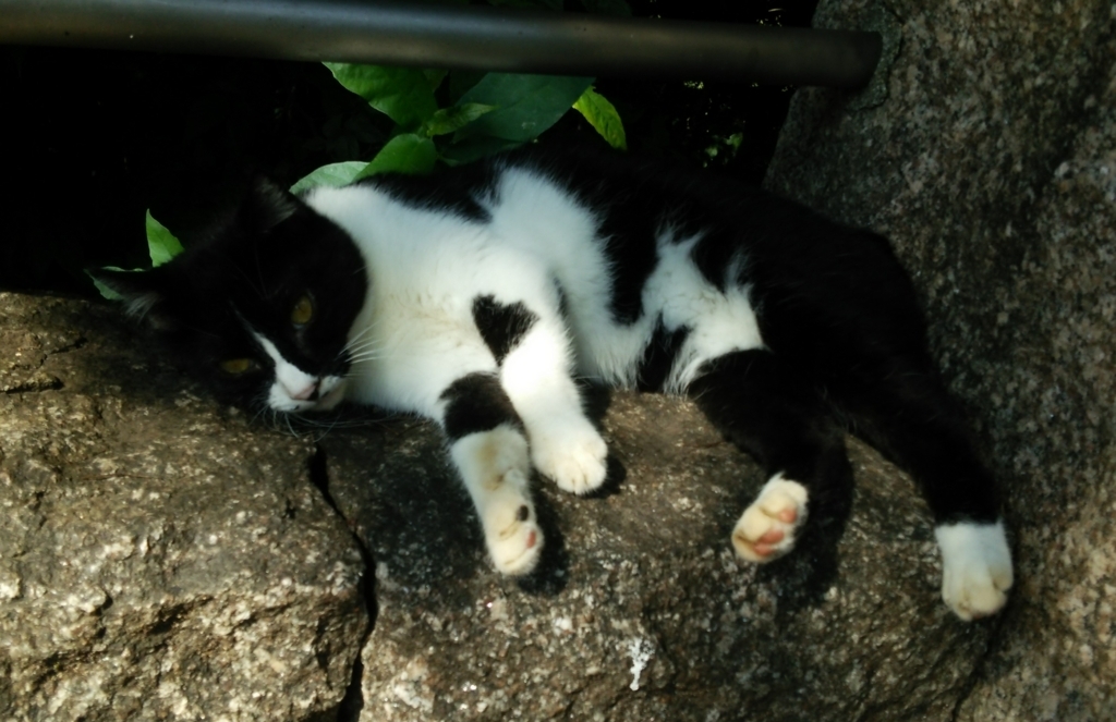 f:id:tarojiroko:20170827092455j:plain
