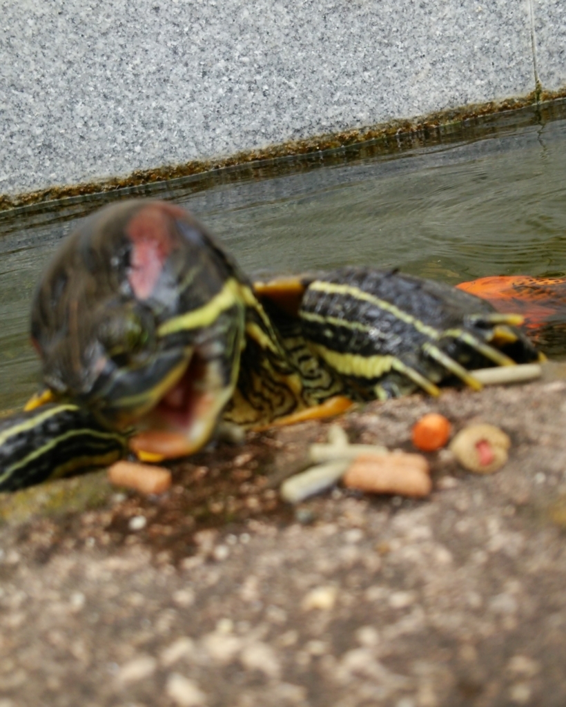 f:id:tarojiroko:20170902145125j:plain f:id:tarojiroko:20170902145125j:plain