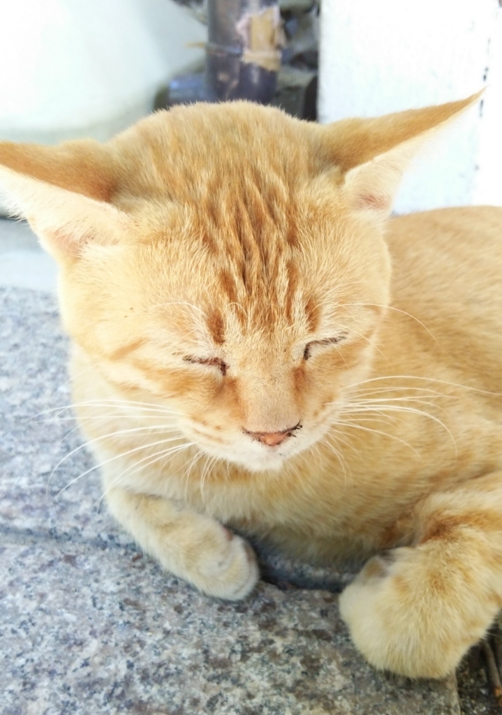 f:id:tarojiroko:20170903090750j:plain