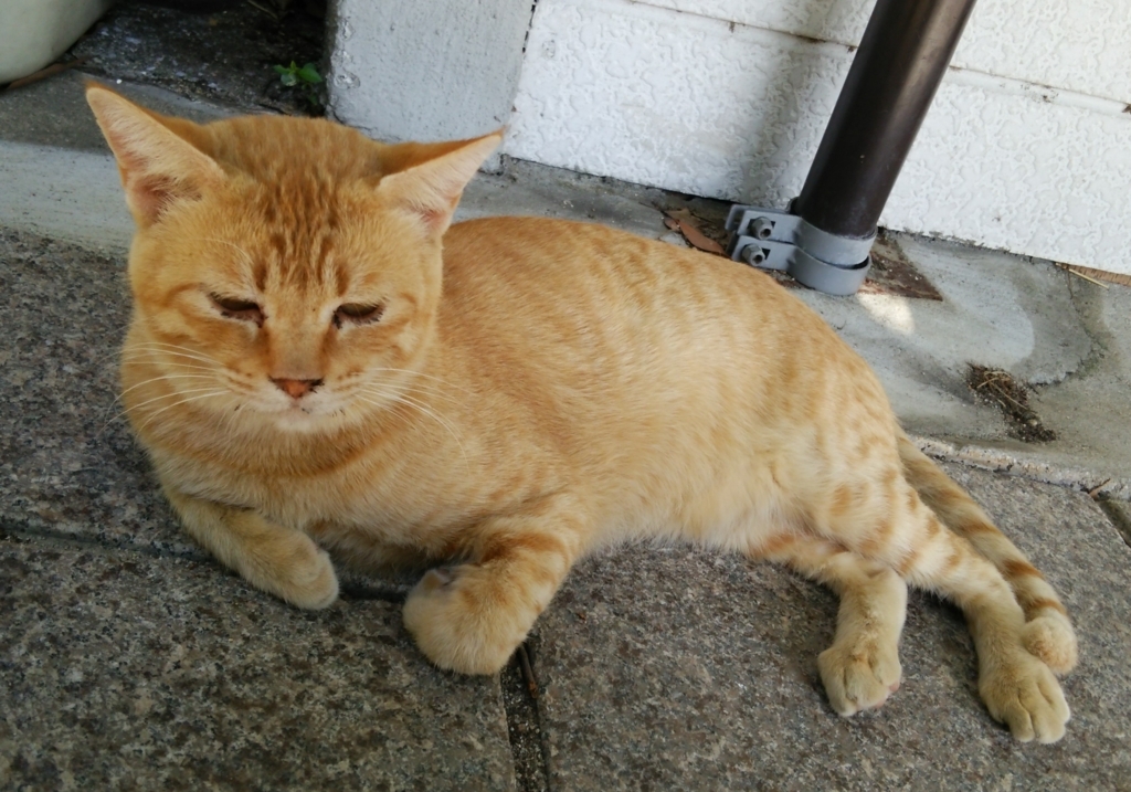 f:id:tarojiroko:20170903090830j:plain