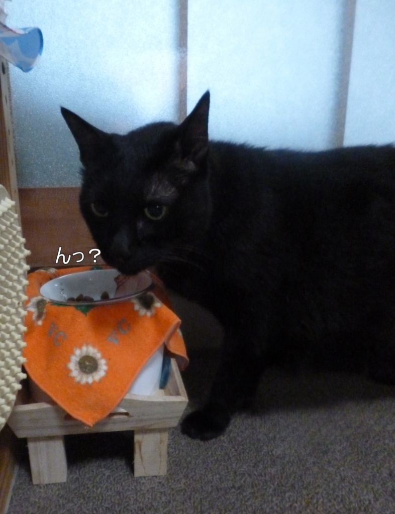 f:id:tarojiroko:20170907174513j:plain f:id:tarojiroko:20170907174513j:plain