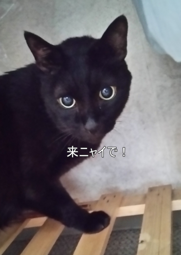 f:id:tarojiroko:20170911123350j:plain