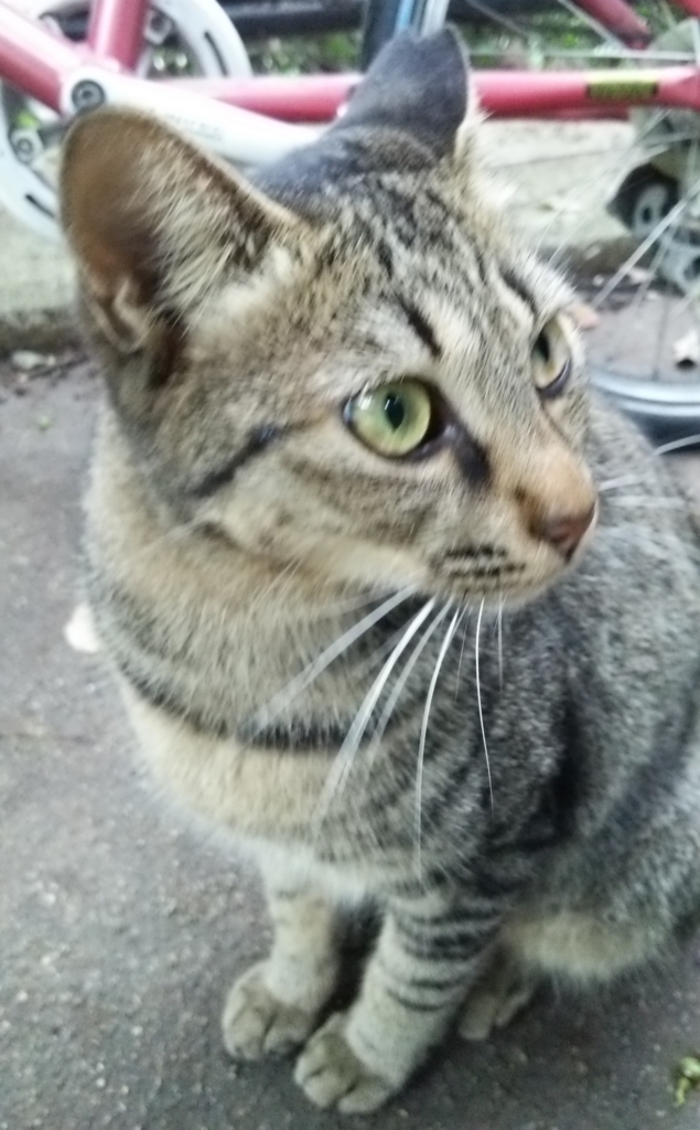 f:id:tarojiroko:20170911130005j:plain