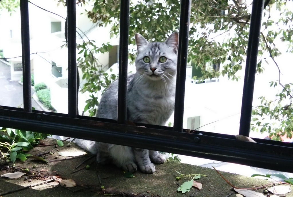 f:id:tarojiroko:20170918105035j:plain